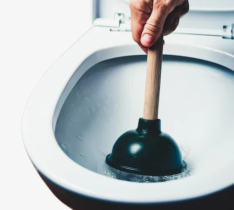 Imagem PNG, Ícone 02